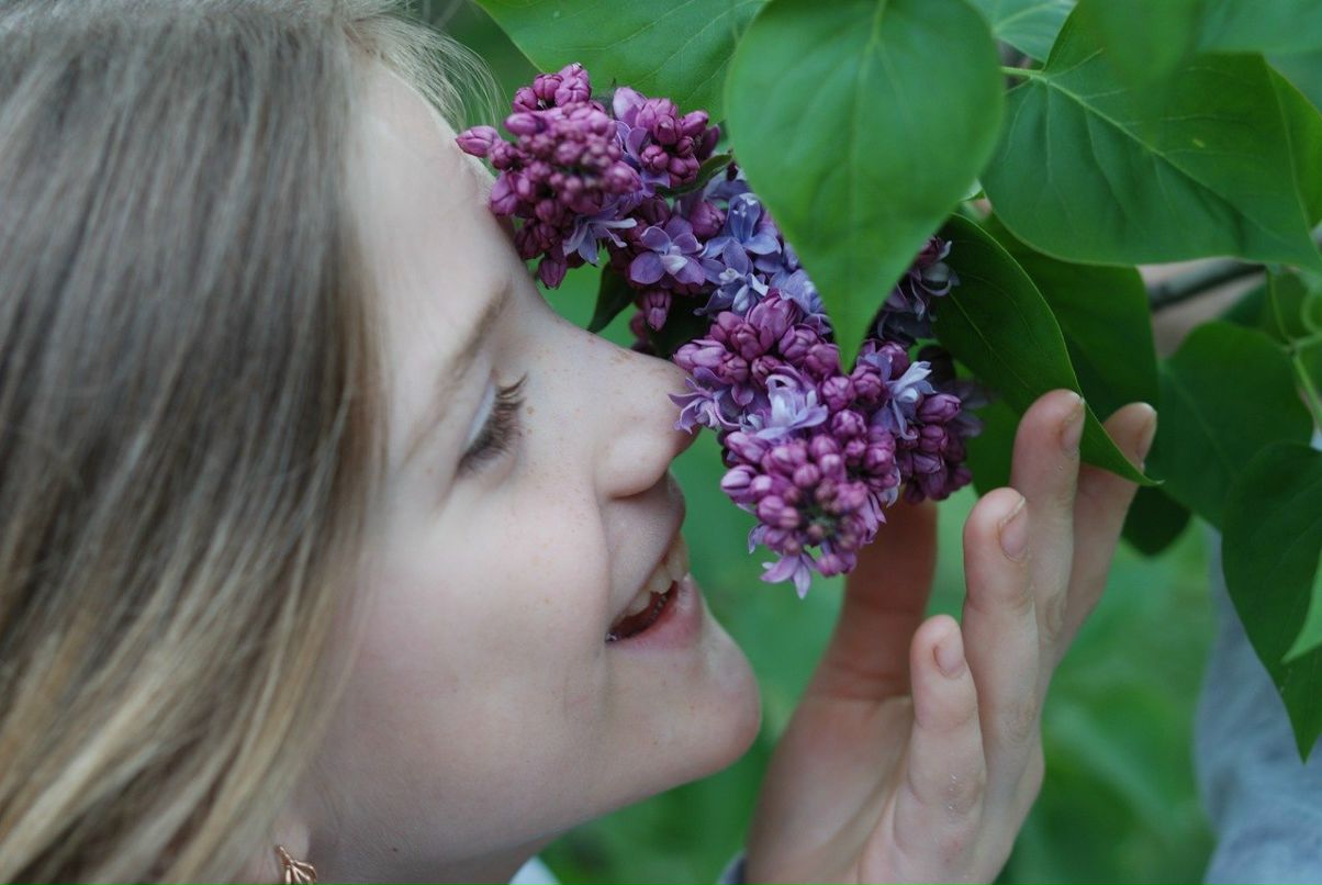 Соня Бабенко | 