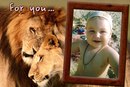 Фотография Мохов Николай