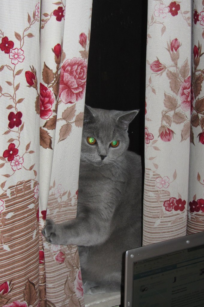 Татьяна Авдеева | Москва