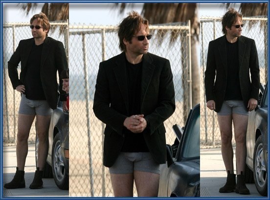 Knoxville Robert | Санкт-Петербург