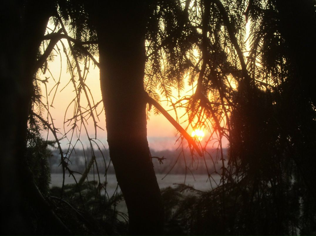 Paul Virginia | Green Bay