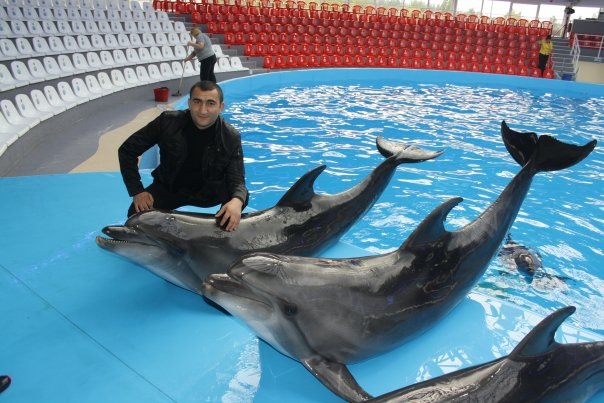 №33, Shahin Hesenov, Киев №33, Shahin Hesenov, Киев