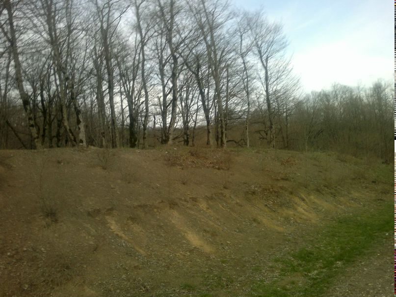 Боря Босов Дмитриевич | Приморско-Ахтарск