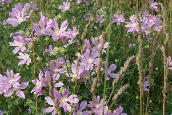 №119, Алина Шпинёва, Томск, Россия №119, Алина Шпинёва, Томск, Россия