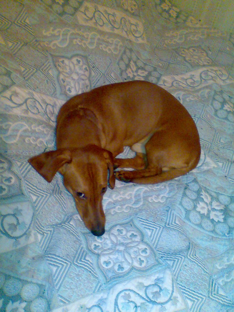 Ольга Кунжина | Петрозаводск