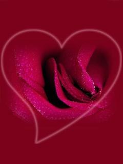 Наталья Белова | Рындино