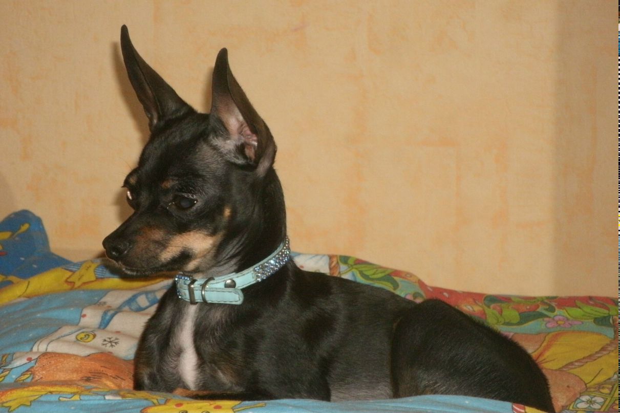 Катя Лазарева | Москва