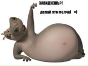 №33 Наташа Беляева 13.11: профиль, фото, статус - ВКонтакте №33 Наташа Беляева 13.11: профиль, фото, статус - ВКонтакте