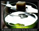 Фотография Николай Баженов