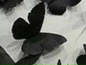 Катюшка Дук | Москва