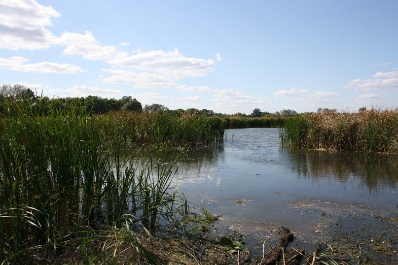 Маргарита Иванова | Москва
