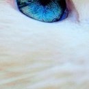 №41, Виталина Мач, Харьков №41, Виталина Мач, Харьков