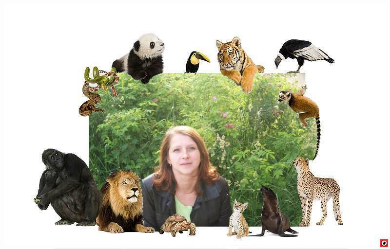 №50, Елена Полякова, Санкт-Петербург №50, Елена Полякова, Санкт-Петербург