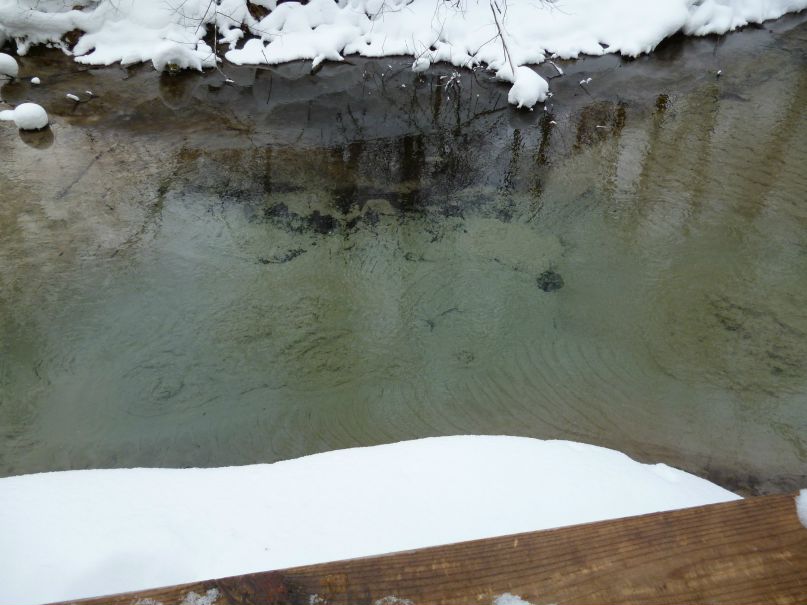 Катюшка Лобанова | Волжск