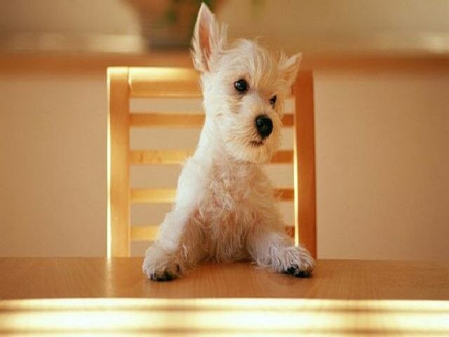 Ирина Осташова | Усть-Цильма