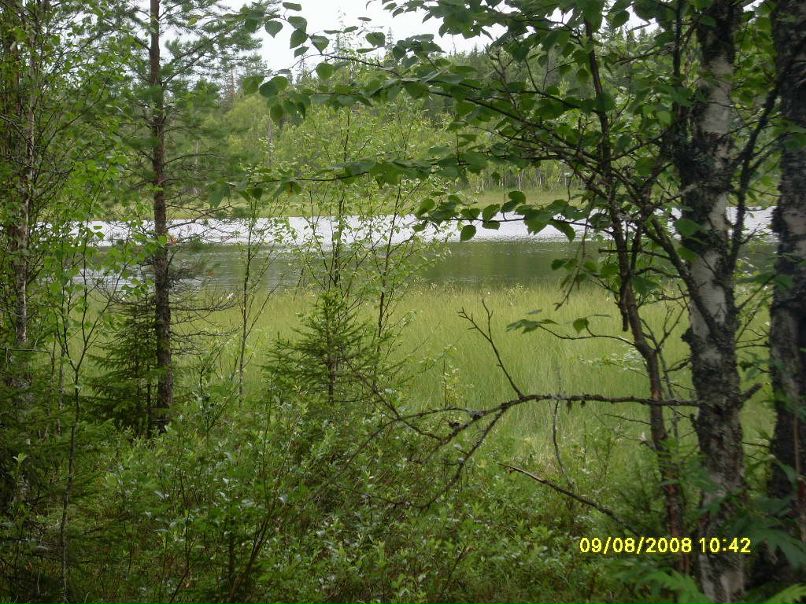 Валерий Назаров | Архангельск