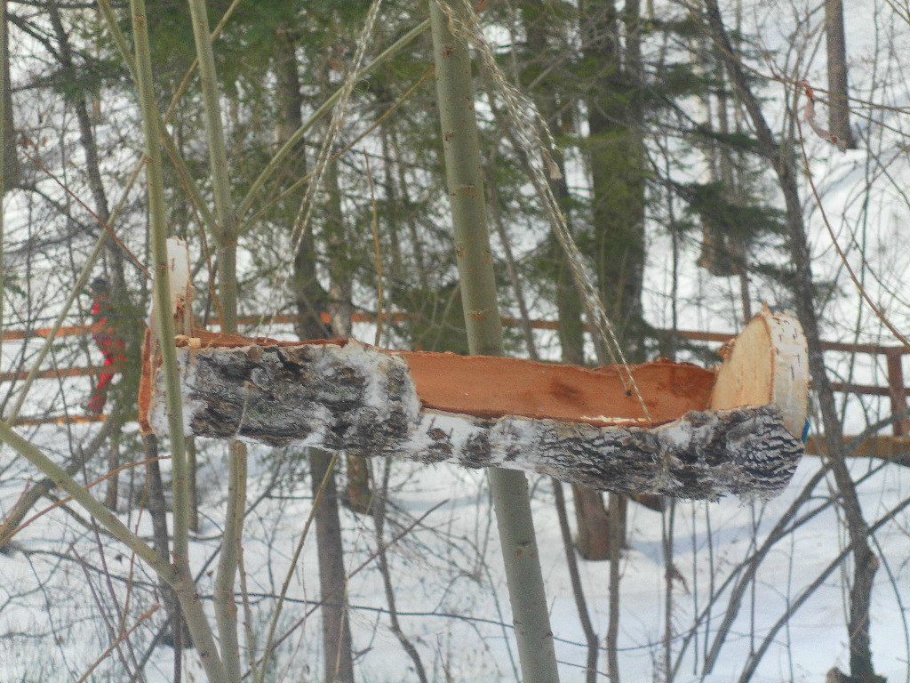 Дарья Бутова | Красноярск