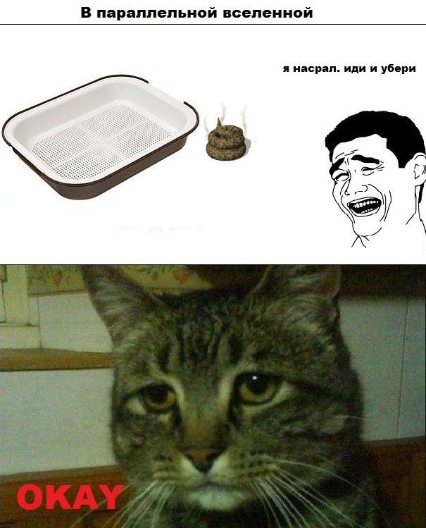 Алиса Леманн ♥ | 