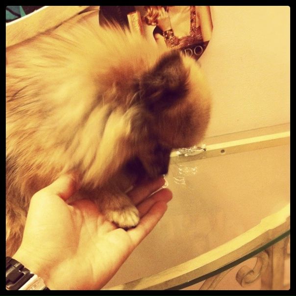 №41, Екатерина Жмурова, Москва, Россия №41, Екатерина Жмурова, Москва, Россия