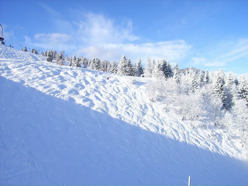 Александр Пономарев | Москва