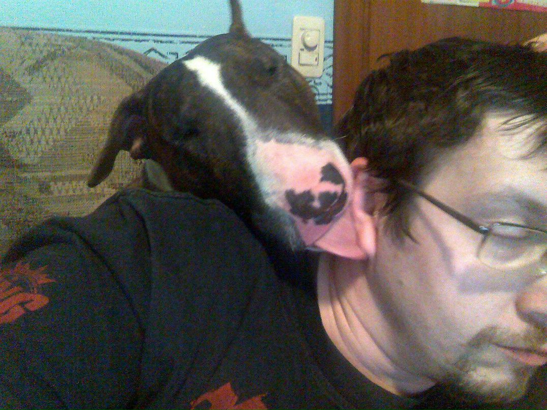 Николай Становов Владимирович | Москва