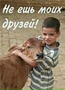 Фотография Мария Борисова