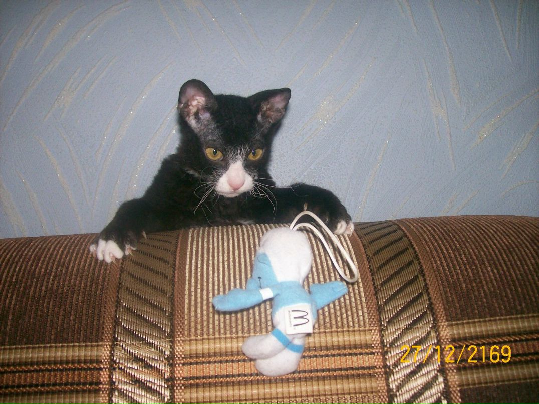 Александра Крепкая ˜”*°• ⎛★ ⎝⏜⏝ ⏜⎠★⎞ .•°*”˜ | Киев