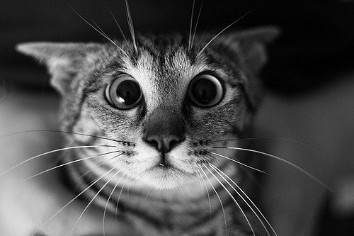 Александр Дороднов | Николаев