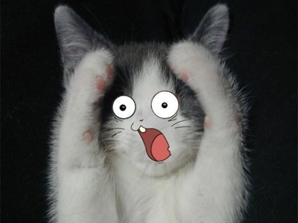 Александра Пузырева ClockWork24/7Bubble | Омск