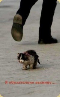 Полина Чукавина | Санкт-Петербург