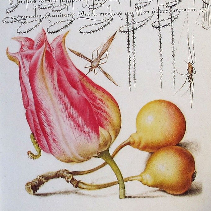 Тина Романова | Одесса