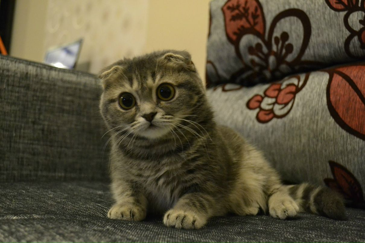 Маша Басова | Екатеринбург