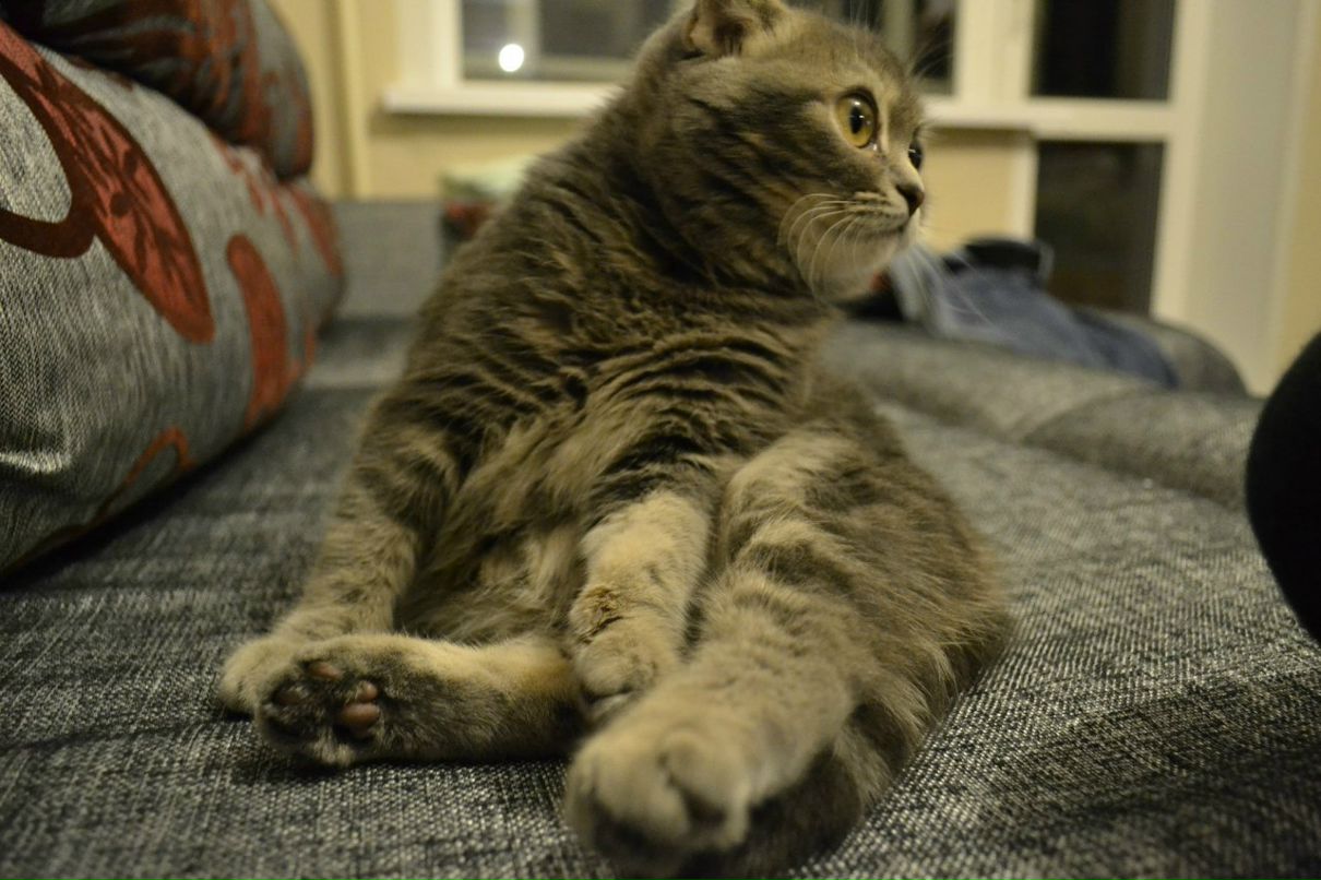 Маша Басова | Екатеринбург