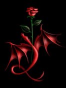 Ruslan Titkov Anatolievich | Кропивницкий / Кировоград