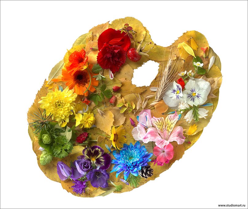 Елена Орлова *Elien* | Тюмень