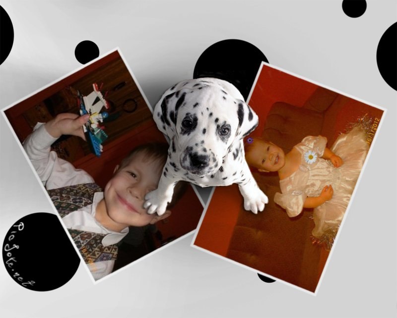 Алёна Бурая | Себеж