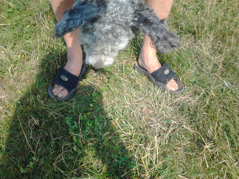 Владимир Логачёв | Санкт-Петербург