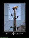 №26 Анастасия Белинская : профиль, фото, статус - ВКонтакте №26 Анастасия Белинская : профиль, фото, статус - ВКонтакте