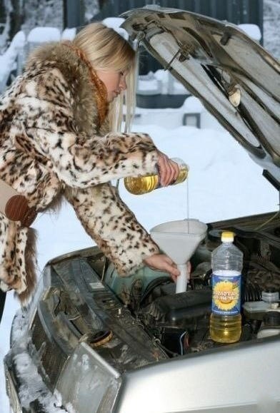 Иван Дони | Тверь