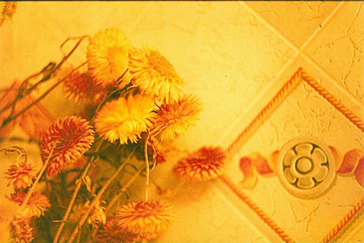 Юлия Сорокина | Москва