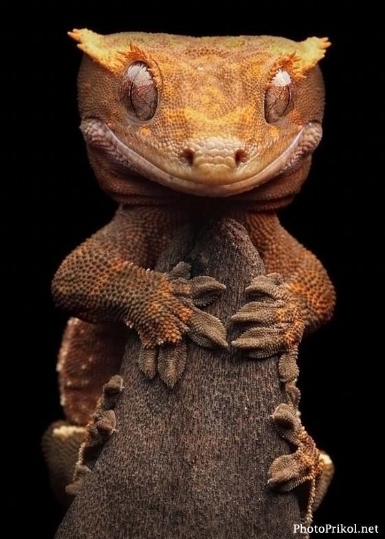 Иван Еремеев | Магнитогорск