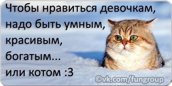 №46, Сергей Гуцол, Киев №46, Сергей Гуцол, Киев