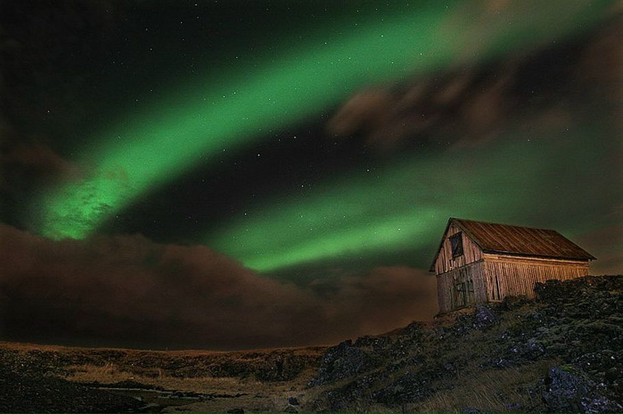 №75, Ольга Королёва, Санкт-Петербург №75, Ольга Королёва, Санкт-Петербург