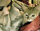 №20 Лера Козлова 22.01.1988: профиль, фото, статус - ВКонтакте №20 Лера Козлова 22.01.1988: профиль, фото, статус - ВКонтакте