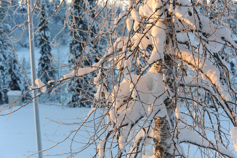 Вова Галайко | Москва