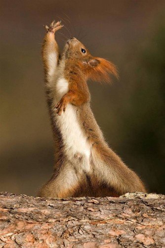 Игорь Чарушников | Харьков