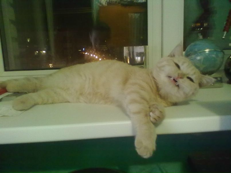 Екатерина Мошкова | Иркутск