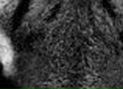 Марина Мельник | Киев