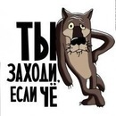 Фотография Медведевы Елены
