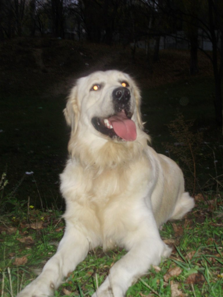 Dmitry Smirnov | Харьков